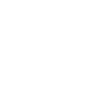 Experienced Technicians
